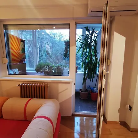 Comfy & Pleasant 10 Min Walk To Downtown