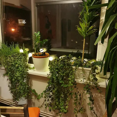 Comfy & Pleasant 10 Min Walk To Downtown Apartament