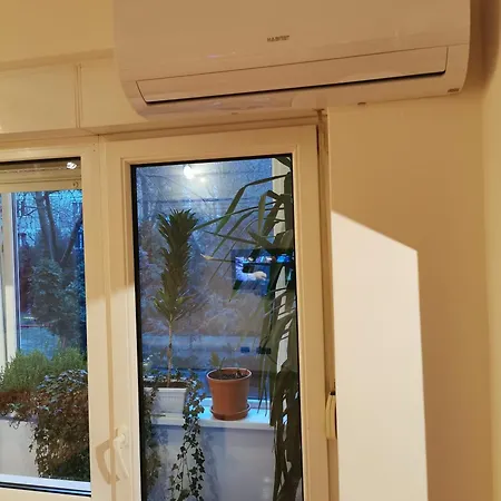 Comfy & Pleasant 10 Min Walk To Downtown Timisoara