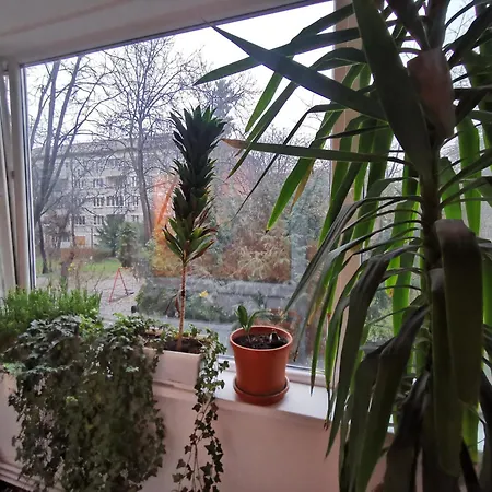 Comfy & Pleasant 10 Min Walk To Downtown * Τιμισοάρα