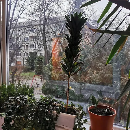 Comfy & Pleasant 10 Min Walk To Downtown Timisoara