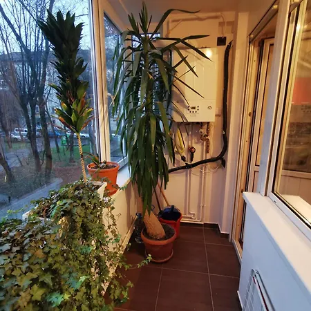 Διαμέρισμα Comfy & Pleasant 10 Min Walk To Downtown *