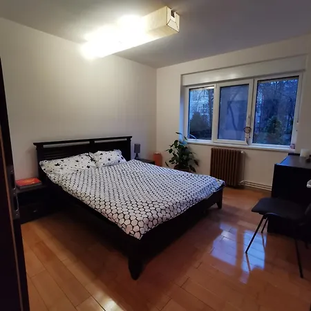 Comfy & Pleasant 10 Min Walk To Downtown *
