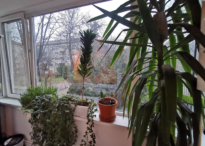 Comfy & Pleasant 10 Min Walk To Downtown * Timişoara