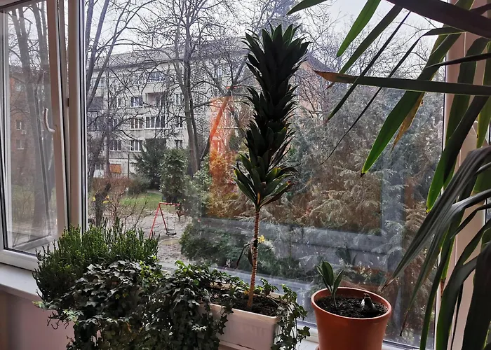 Comfy & Pleasant 10 Min Walk To Downtown Timişoara