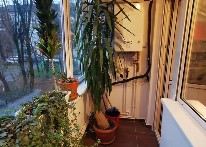 Lägenhet Comfy & Pleasant 10 Min Walk To Downtown *