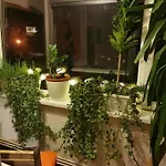 Comfy & Pleasant 10 Min Walk To Downtown Apartmán