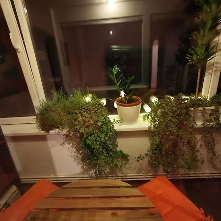 Appartement Comfy & Pleasant 10 Min Walk To Downtown