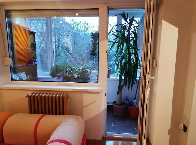 Comfy & Pleasant 10 Min Walk To Downtown