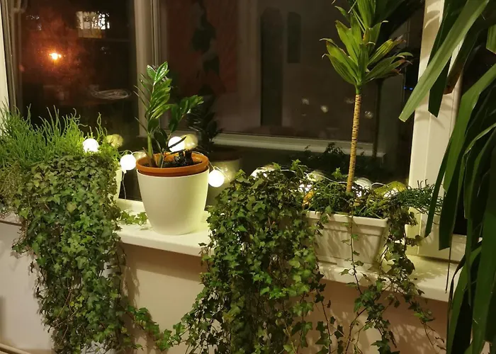 Comfy & Pleasant 10 Min Walk To Downtown Appartement