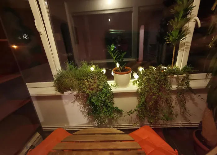 Appartement Comfy & Pleasant 10 Min Walk To Downtown