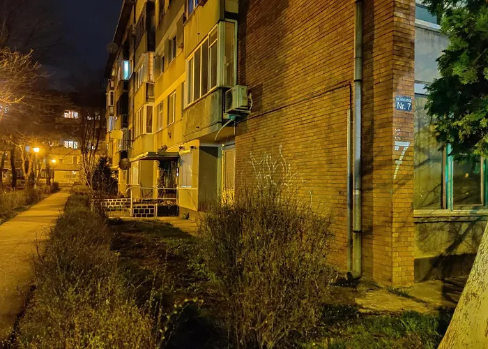 Comfy & Pleasant 10 Min Walk To Downtown Timişoara